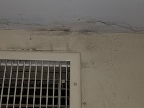 Mold Removal in Atlanta, GA (3)