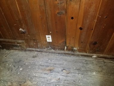 Mold Removal in Atlanta, GA (5)