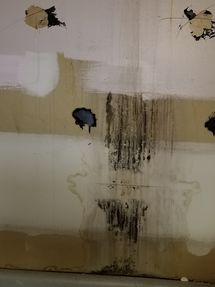 Mold Removal in Atlanta, GA (6)