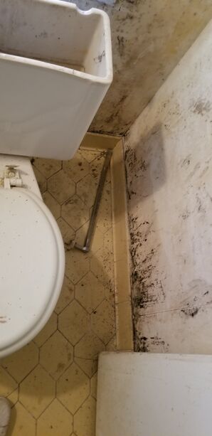 Mold Removal in Conyers, GA (2)