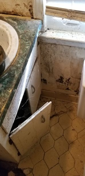 Mold Removal in Conyers, GA (4)