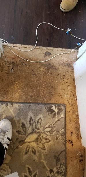 Mold Removal in Conyers, GA (3)