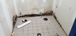 Mold Removal in Snellville, GA (1)