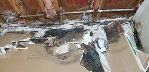 Mold Removal in Snellville, GA (4)