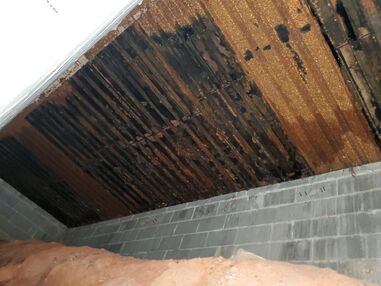 Mold Remediation in Atlanta, GA (6)