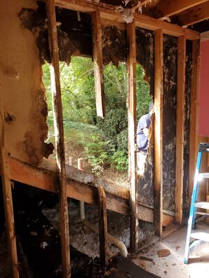 Mold Removal in Lithonia, GA (2)