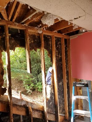 Mold Removal in Lithonia, GA (3)