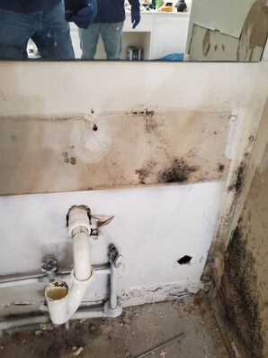 Mold Removal in Conyers, GA (3)