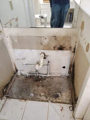 Mold Removal in Conyers, GA (5)