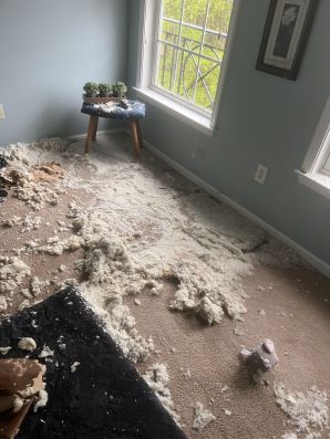 Emergency Water Removal in Athens, GA (3)