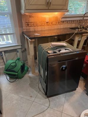 Appliance Leaks in Atlanta,GA (2)