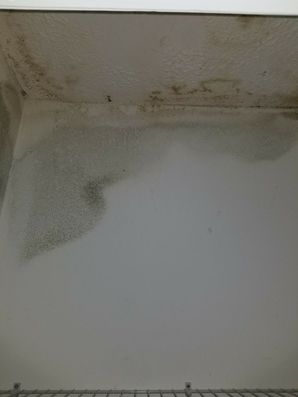 Mold Detected in Snellville, GA (4)