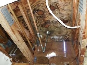 Mold Damage in Loganville, GA (1)