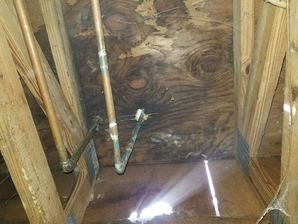 Mold Damage in Loganville, GA (2)