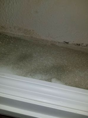 Mold Detected in Snellville, GA (2)